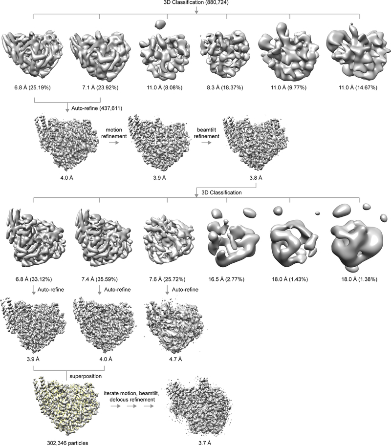 Extended Data Fig. 3 |