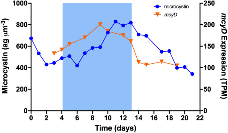 FIGURE 4