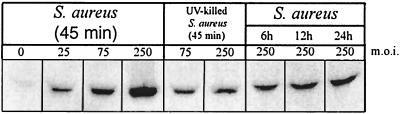 FIG. 8