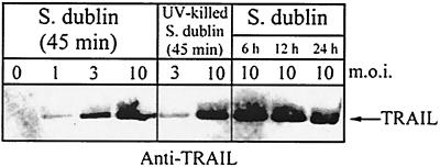 FIG. 7