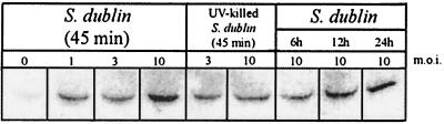 FIG. 9