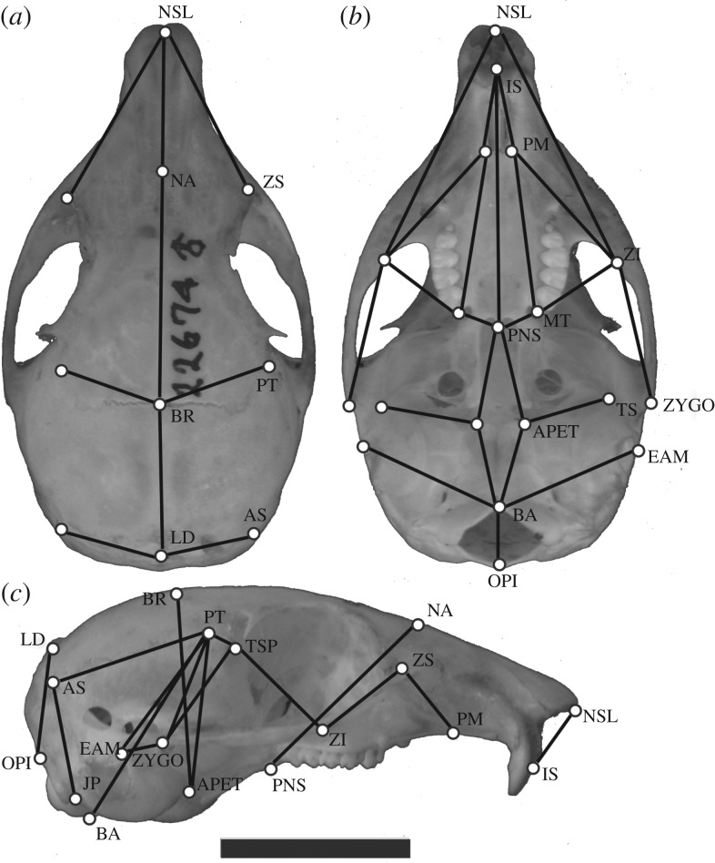 Figure 2.