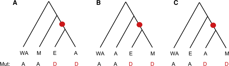 Figure 2