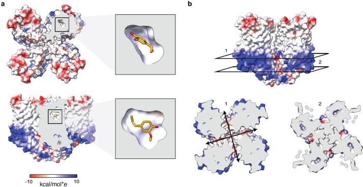 Extended Data Fig. 7