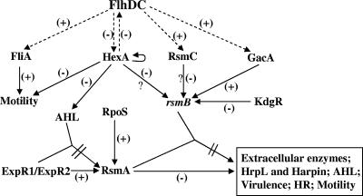 FIG. 1.