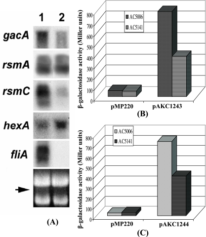 FIG. 4.