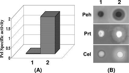 FIG. 7.