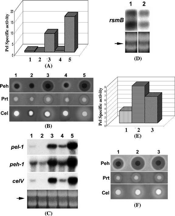 FIG. 10.