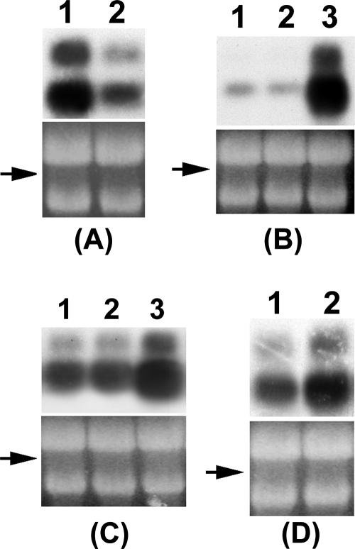 FIG. 8.