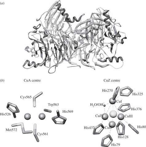 Figure 1.