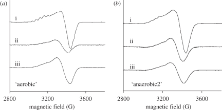 Figure 3.