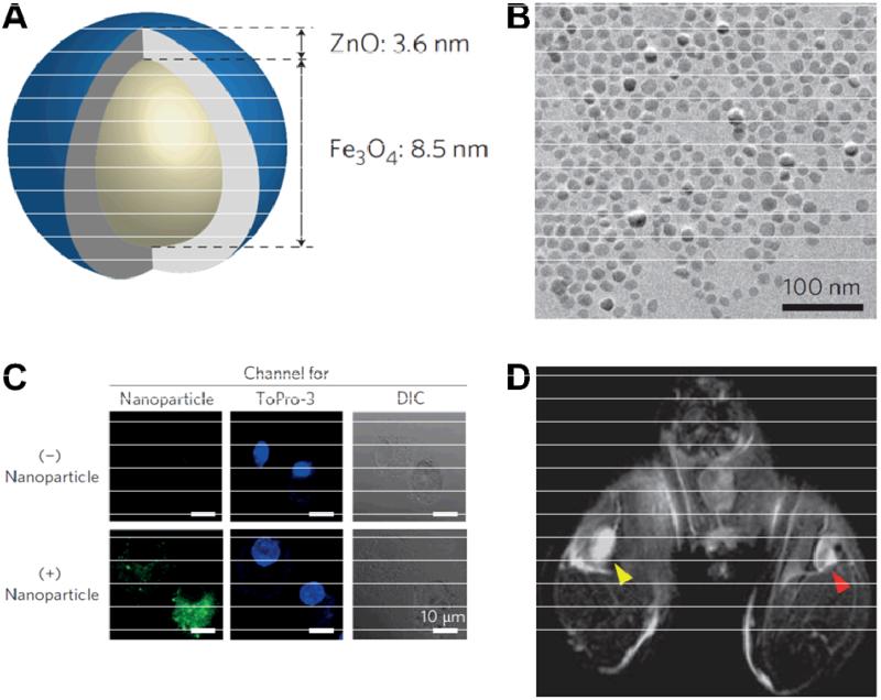 Fig. (4)