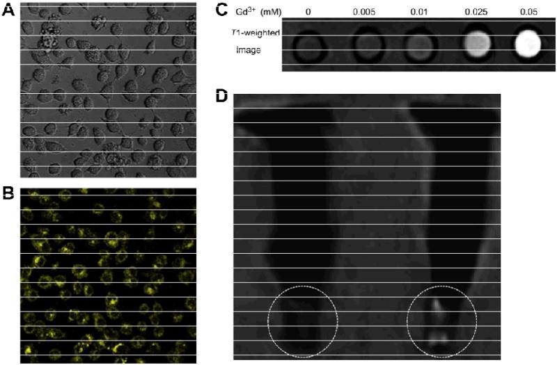 Fig. (2)