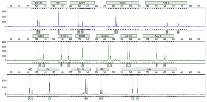 Figure 5