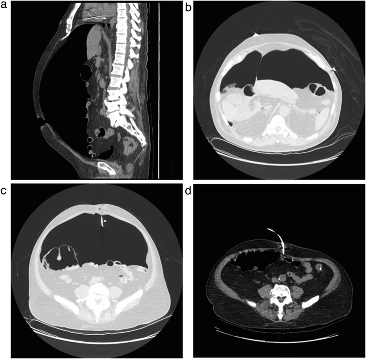 Fig. 4