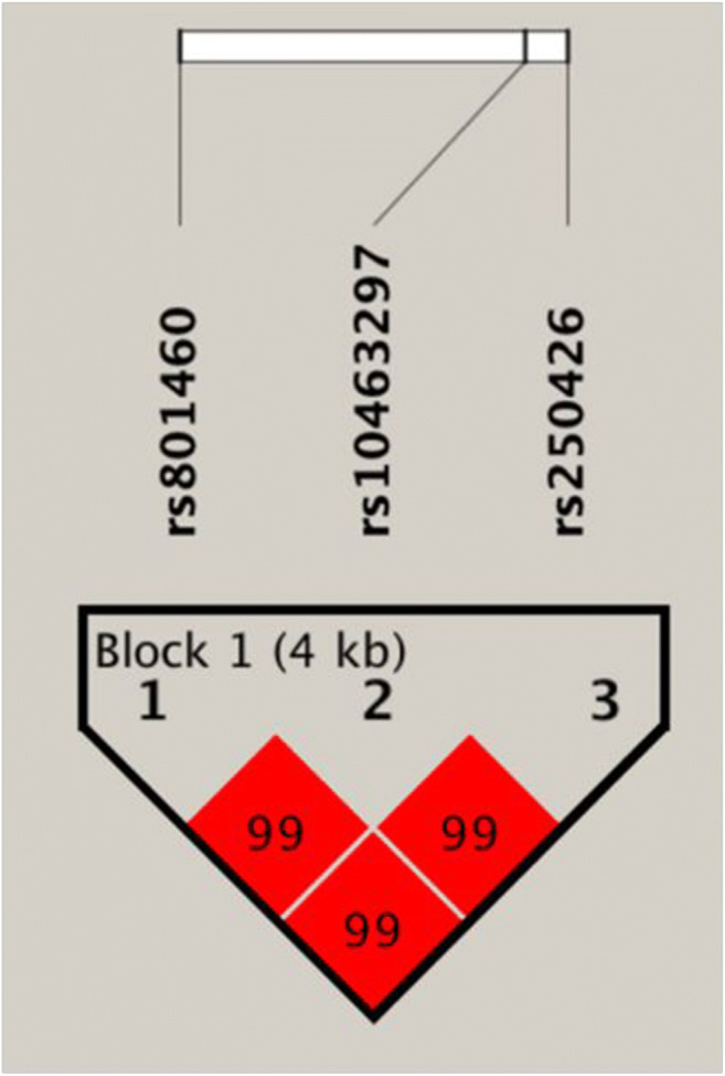 Fig. 2