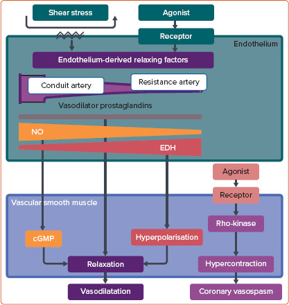 Figure 1: