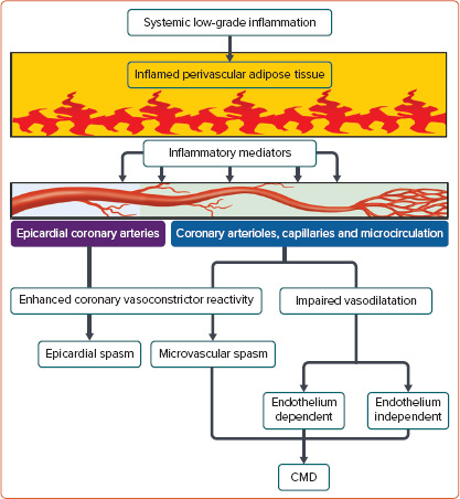 Figure 2: