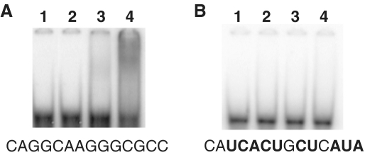 Figure 12.