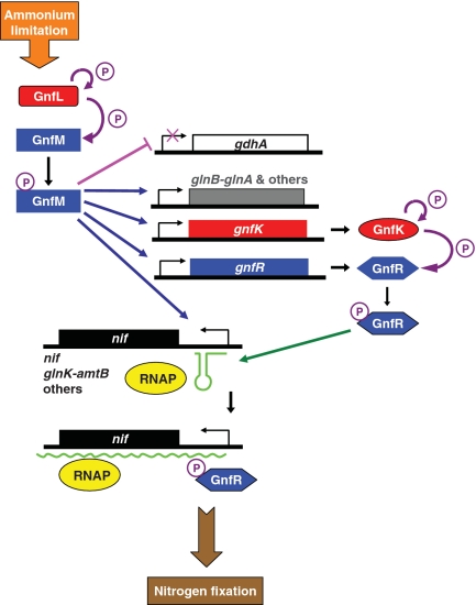 Figure 13.