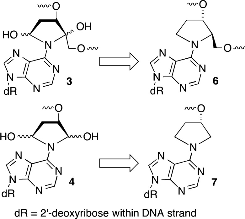 Scheme 2