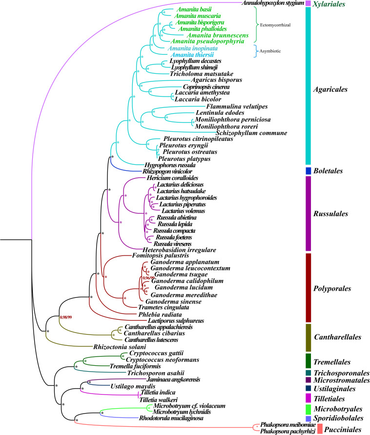 FIGURE 2