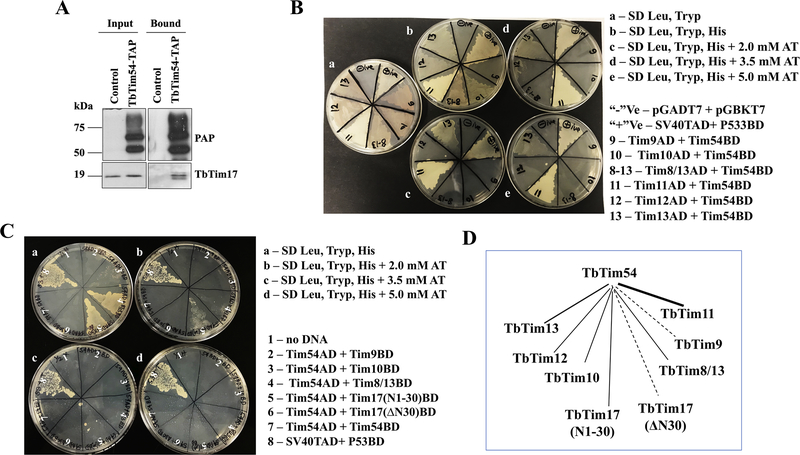 Figure 7|