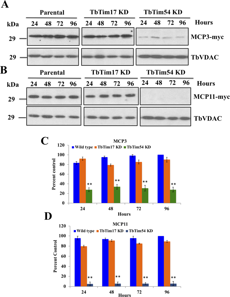 Figure 6|