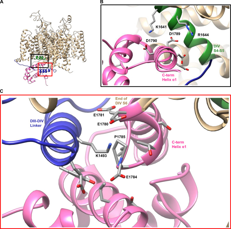 Figure 6.