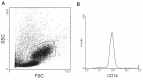 Figure 1)