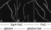 Figure 7.