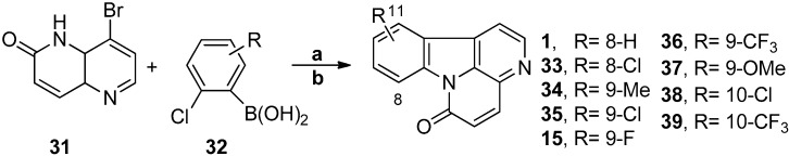 Scheme 8