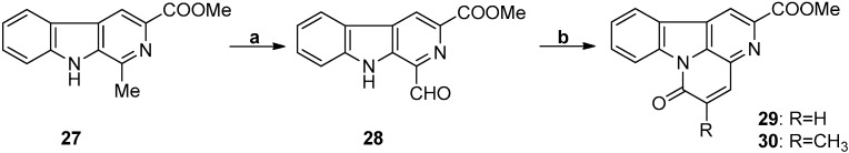 Scheme 7