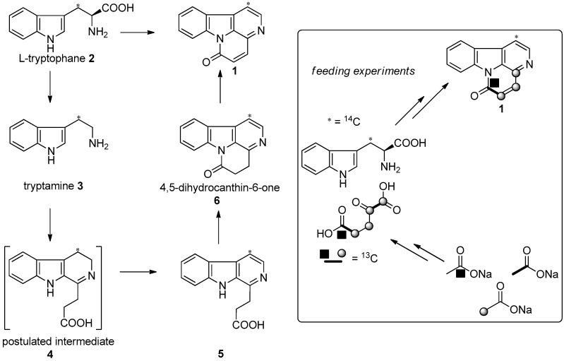 Scheme 1