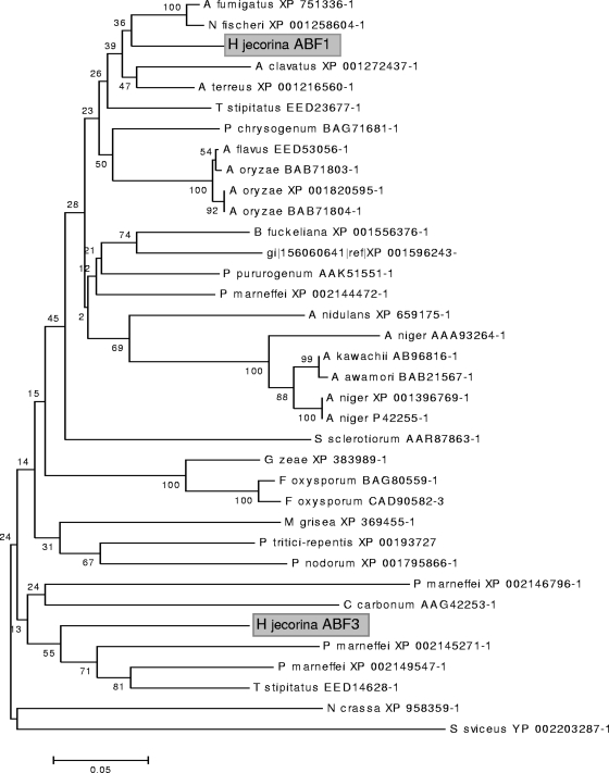 FIG. 5.