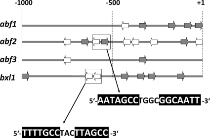 FIG. 7.