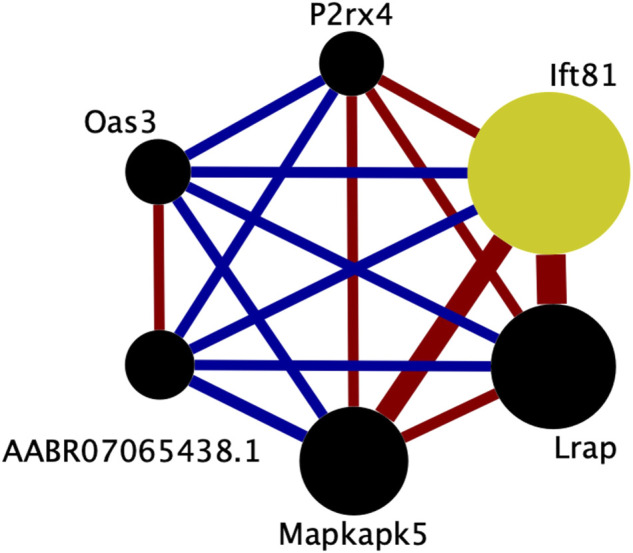 FIGURE 5