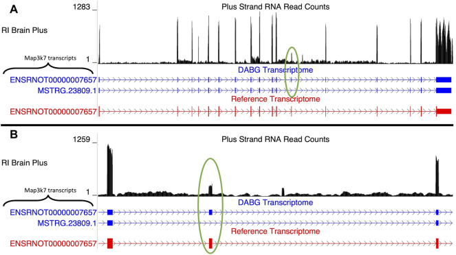 FIGURE 3