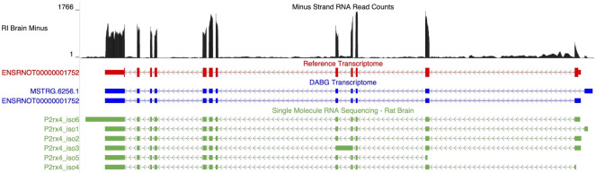 FIGURE 6