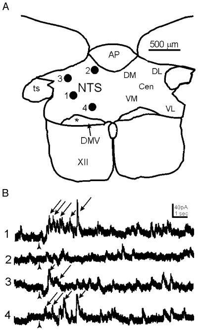 Fig. 5