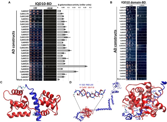 FIGURE 3