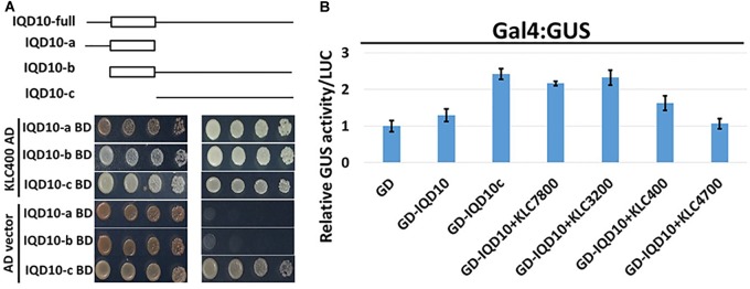 FIGURE 10