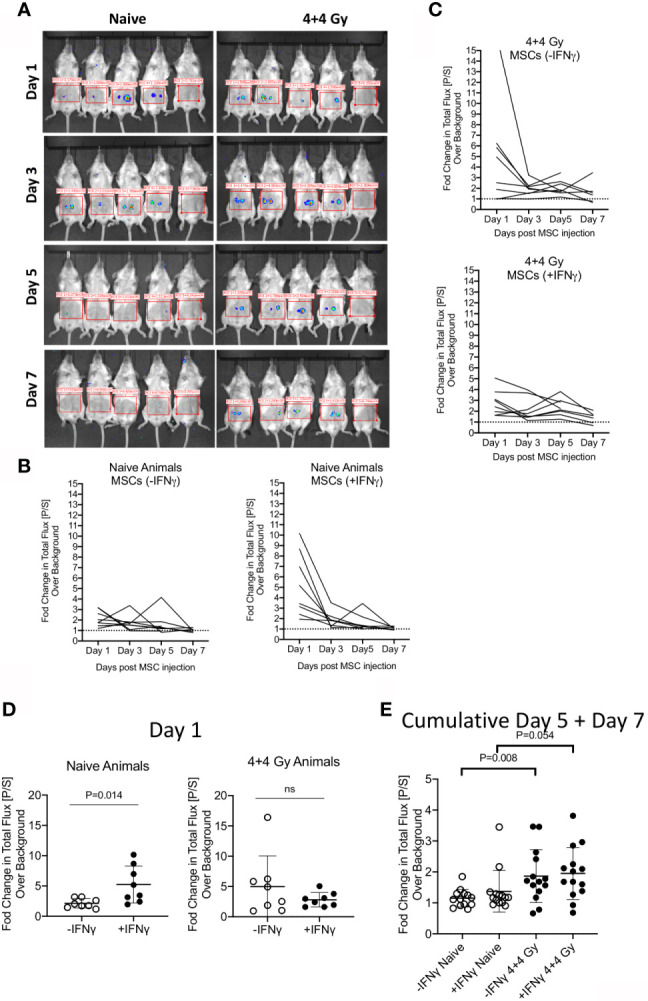 Figure 2