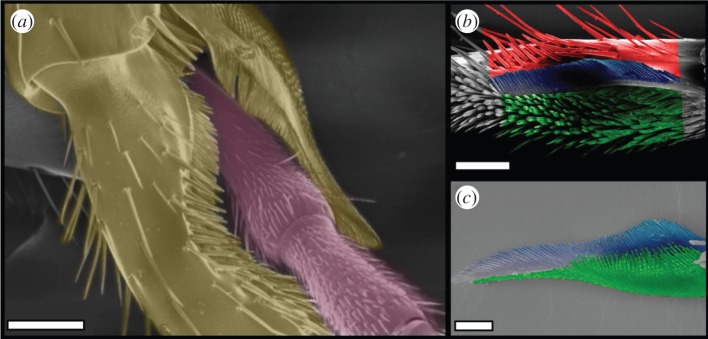 Figure 1.