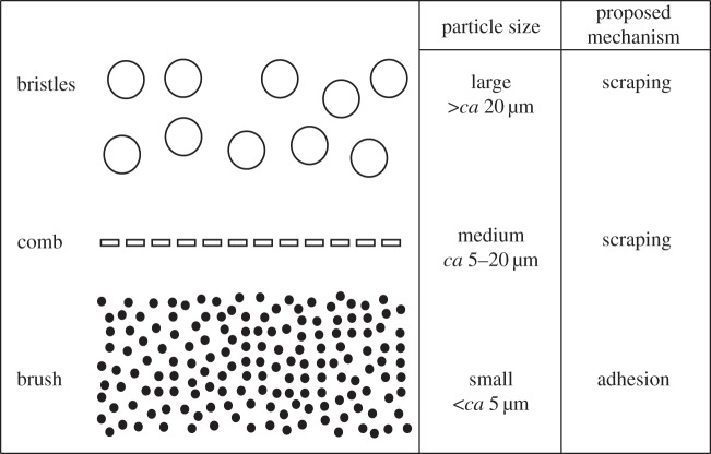 Figure 8.