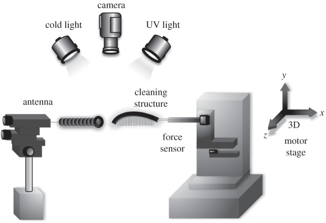 Figure 2.