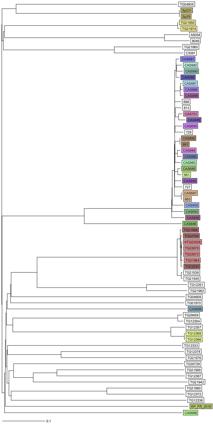 Fig. 1