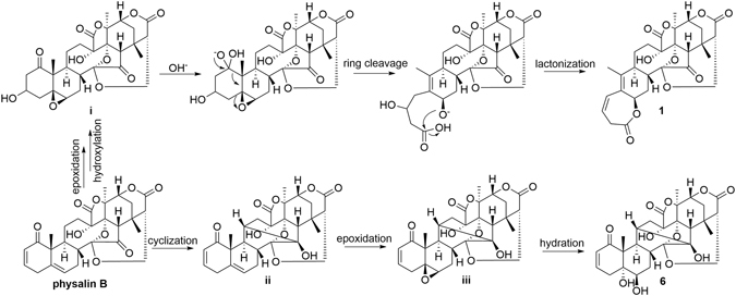 Figure 5