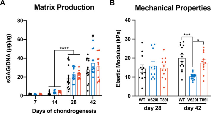 Figure 2—figure supplement 1.