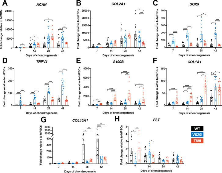 Figure 3—figure supplement 1.